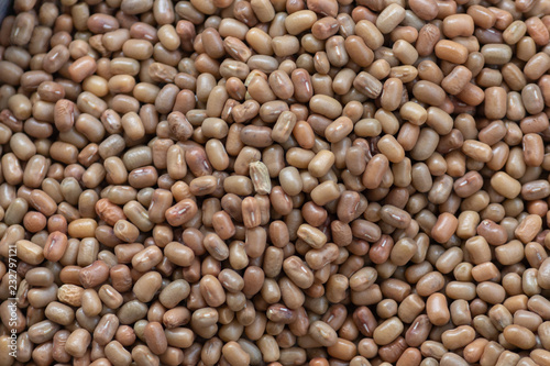 Background of beans