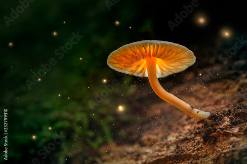 Glowing mushrooms and fireflies in magical forest at dusk