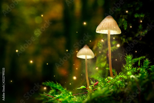 Fotografie, Obraz Glowing mushroom lamps with fireflies in magical forest