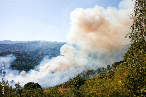 Waldbrand Buschbrand Feuer