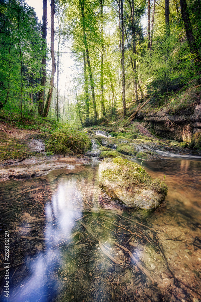 Obraz premium Kawaler