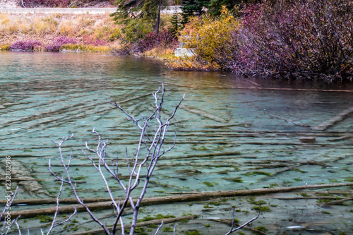 Fototapeta Naklejka Na Ścianę i Meble -  Emerald green waters of Olive Lake, Kootney National Park, British Columbia, Canada