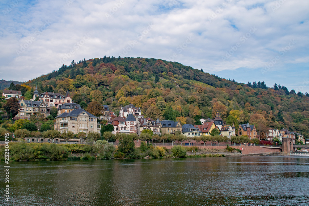 Herbst am Neckarufer in Heidelberg, Baden-Württemberg, Deutschland 
