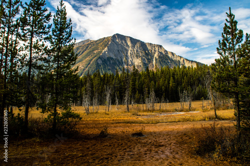 Ochre coloured earth at the Paint Pots, kootney National Park, British Columbia, Canada photo