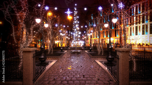 Christmas Lights in the Park