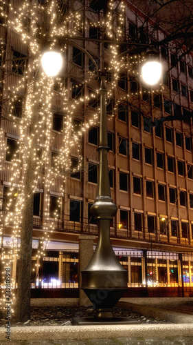 Street Lamp in the Park with Christmas lights
