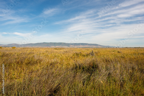 Landscape on daimiel tables with blue sky