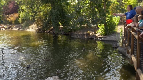 Panning view of people throwing fish to pelicans and ducks in pond at aviary.