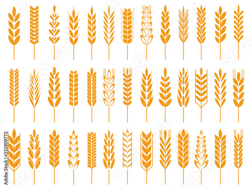 Wheat grain icons. Wheats bread logo, farm grains and rye stalk symbol isolated vector icon