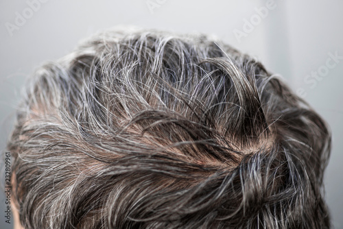 The head of a man with a hairstyle with gray hair. Gray Hair Adult