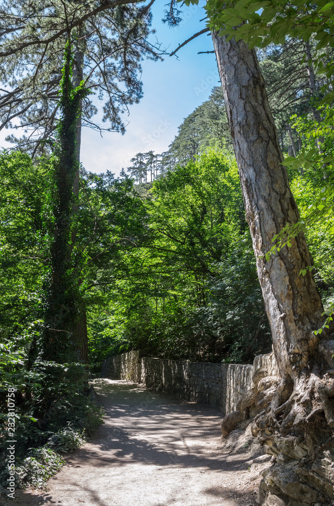 Footpath on a wooded mountainside. Russia, Republic of Crimea. 06/13/2018: The trail to the Uchan-Su waterfall. Mount Ai-Petri