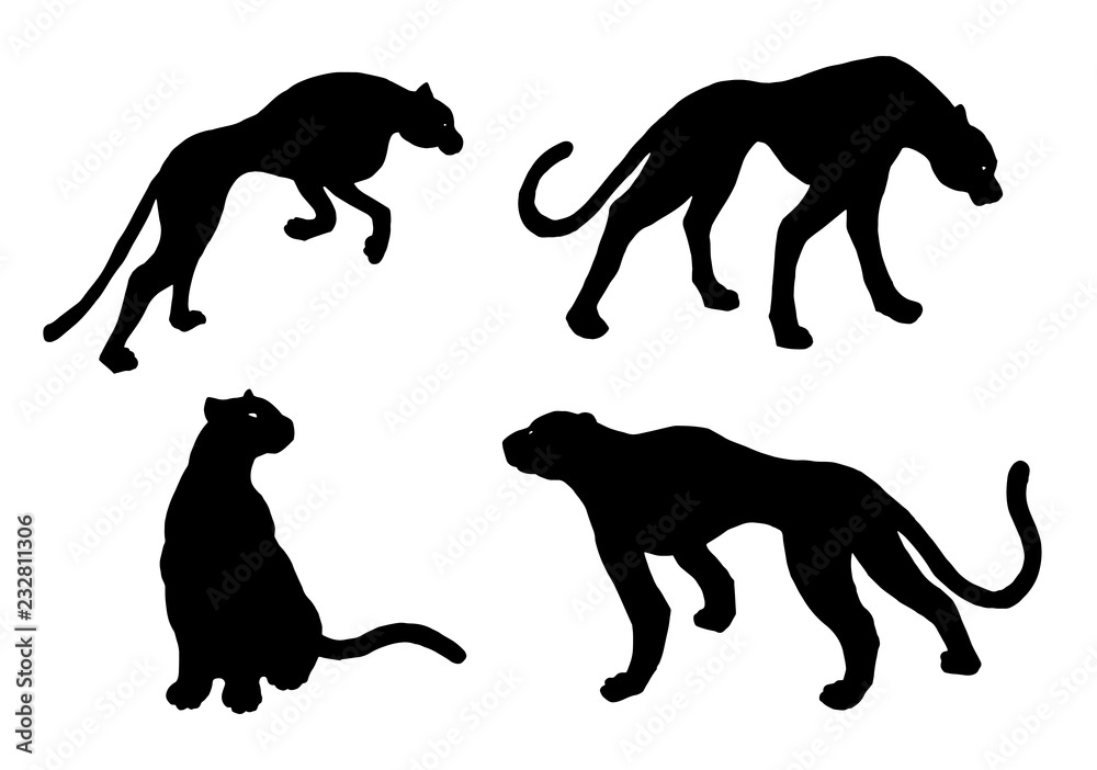 Drawn jaguar, leopard, wild cat, panther silhouettes