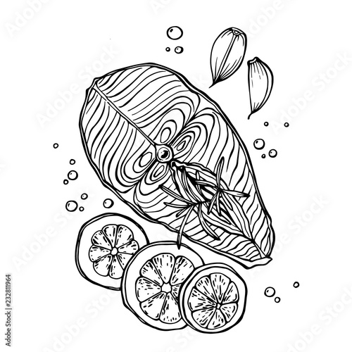 Hand drawn vector sketch of fresh salmon steak with garlic, rosemary, lemon and spice isolated on a white. Healthy seafood. Trout fillet.
