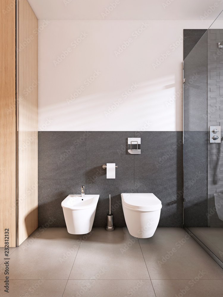 toilet and bidet modern bathroom of style. Stock Illustration | Adobe Stock