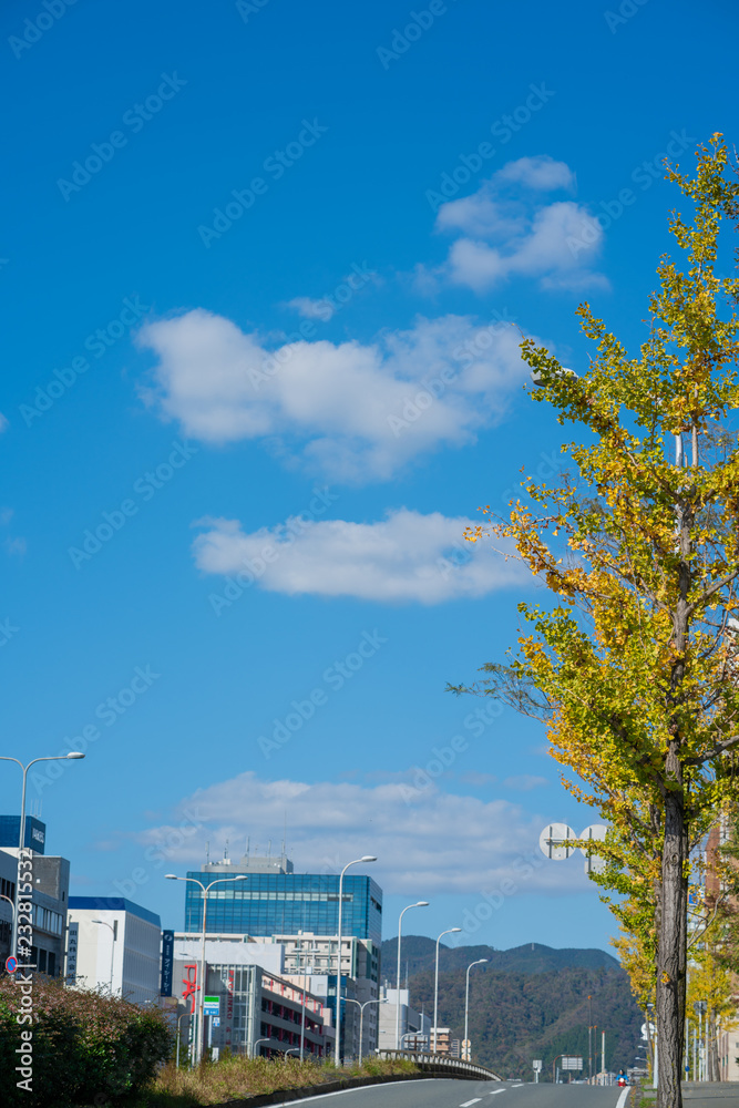 大阪　千里中央周辺都市景観