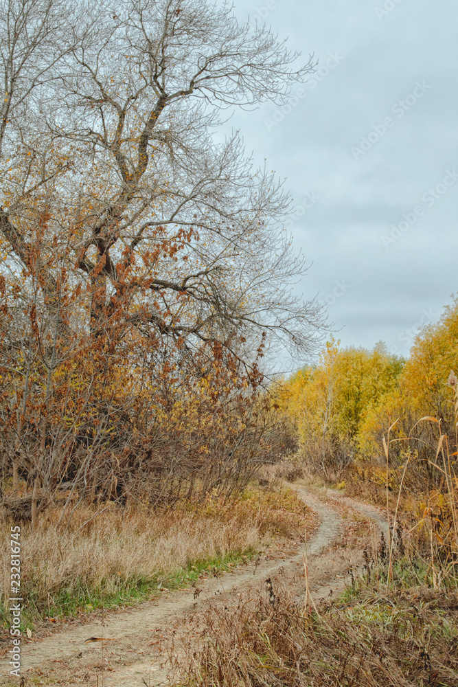 Footpath in an autumn lesuv cloudy day.