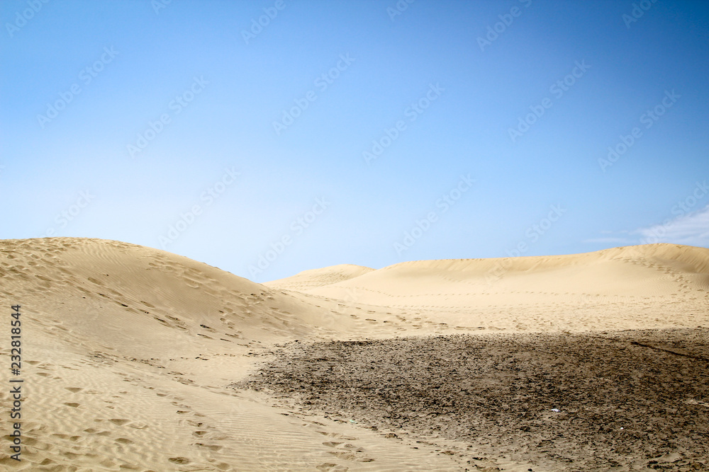 Wüste, Dünen, Maspalomas, Sträucher, Absperrung, und Gitter