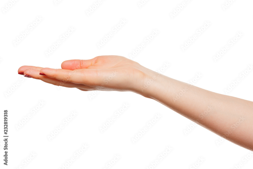 hands take gesture of open palm for holding on white backgrounds, isolated