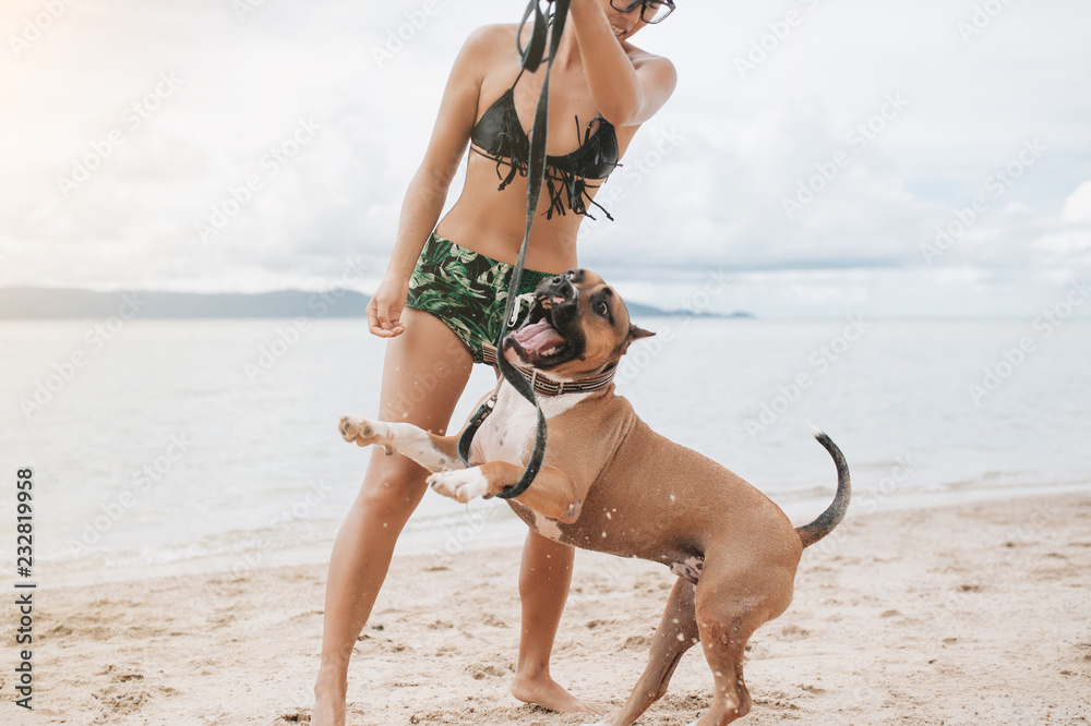 Cheerful asian young woman in eyeglases playing with her dog on the beach - obrazy, fototapety, plakaty 