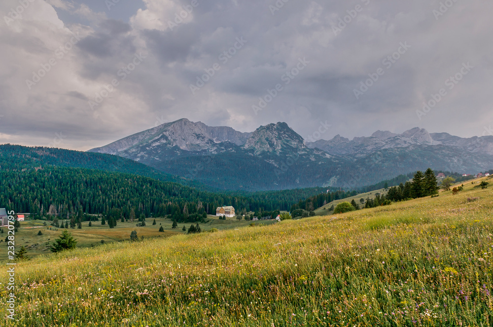 The alpine meadows. High mountains.