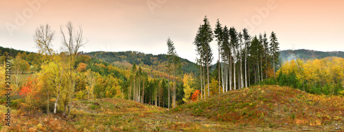 Fototapeta Naklejka Na Ścianę i Meble -  colorful forest during autumn season on the Tuscany mountains in Italy.