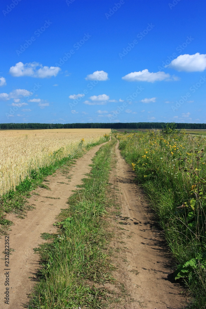 Country dirt road in the field Country dirt road in the field