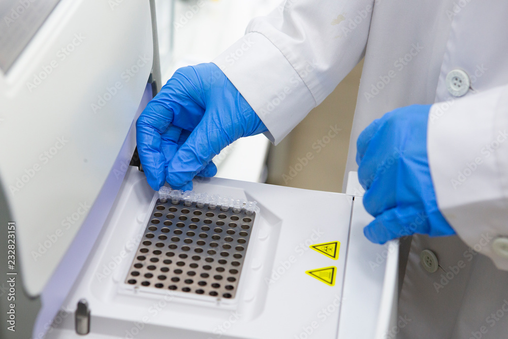 scientist working at the laboratory scientist working at the laboratory