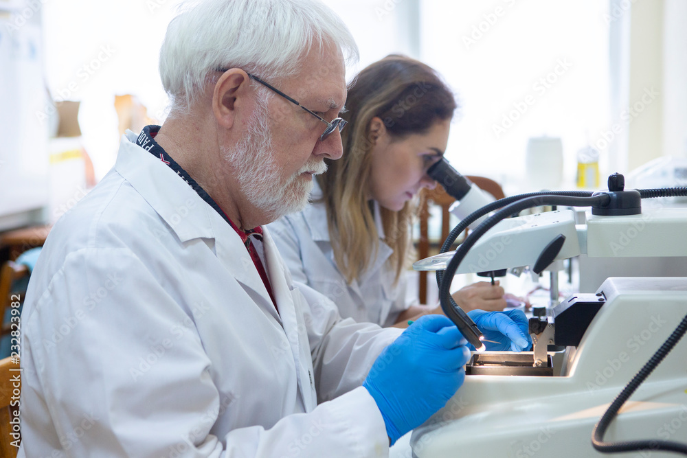 Health care researchers working in life science laboratory. Health care researchers working in life science laboratory.
