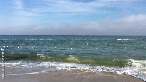 Small sailing ships at the sea and blue sky. White seagulls swimming on foreground