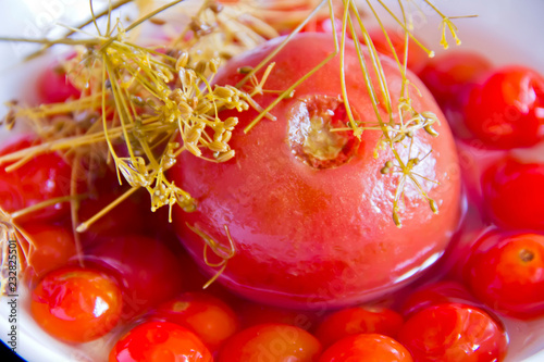 Fotografie Red tomato in brine