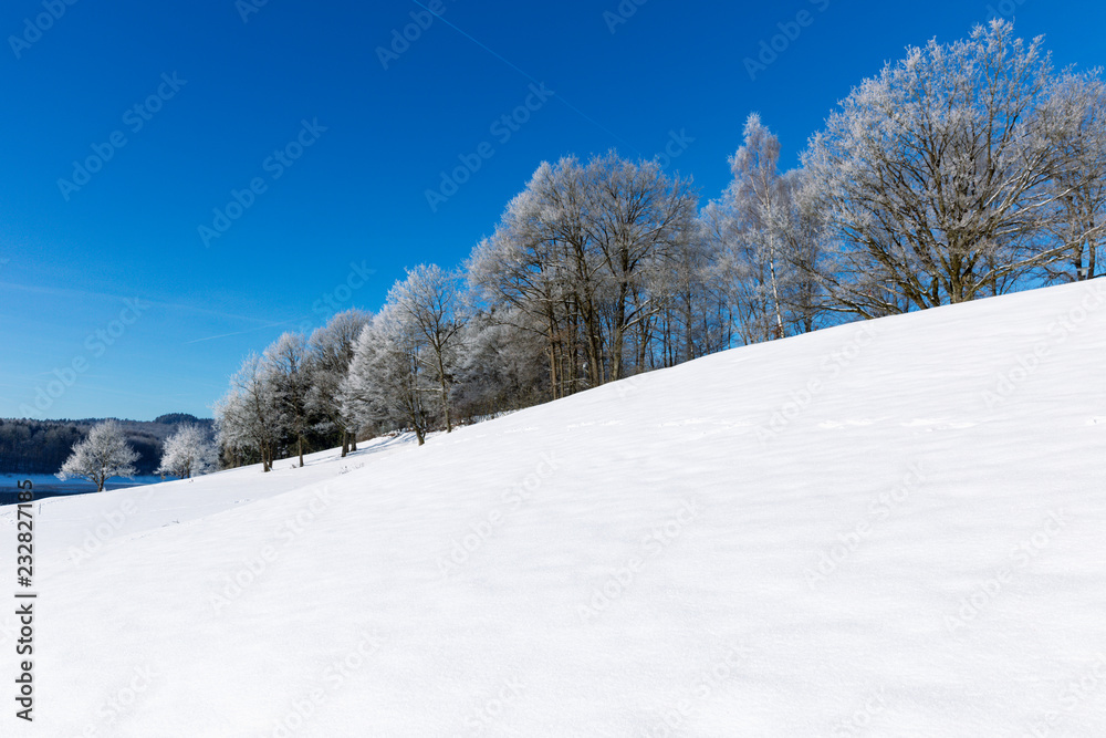 Obraz premium Biggesee Winter, schnee Sonderner Kopf