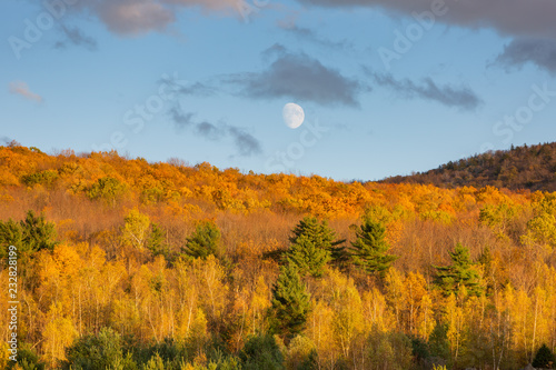 Moonrise Over Golden Fall Foliage in Vermont, USA