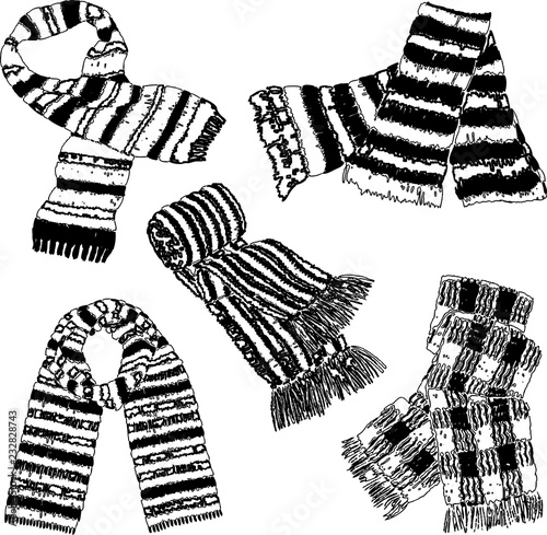Vector drawings of the wool knitted scarves