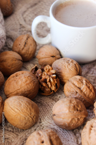 walnuts in season