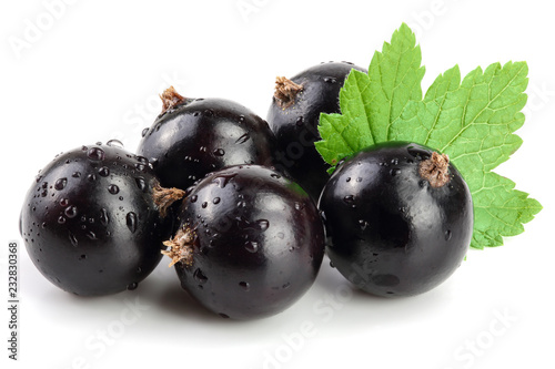 black currant with leaf isolated on white background