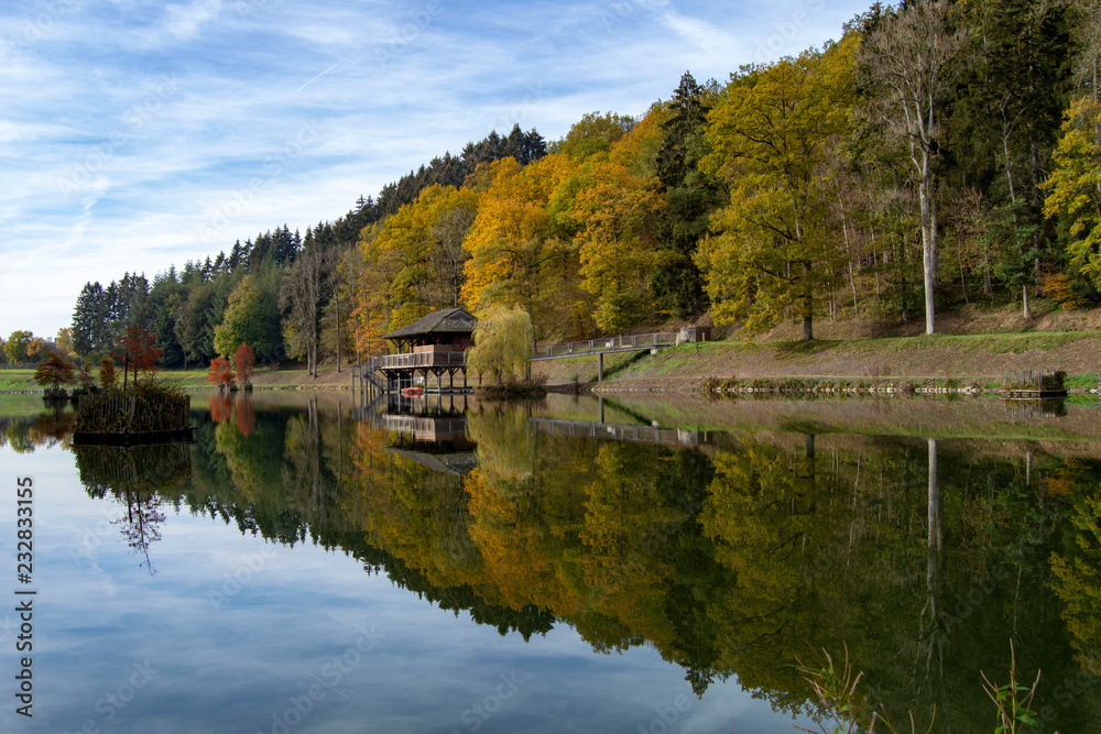 lake in the forest