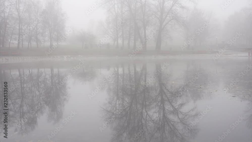 Ripples on water in foggy weater. Trees reflecting in water. Minsk, Belarus Ripples on water in foggy weater. Trees reflecting in water. Minsk, Belarus