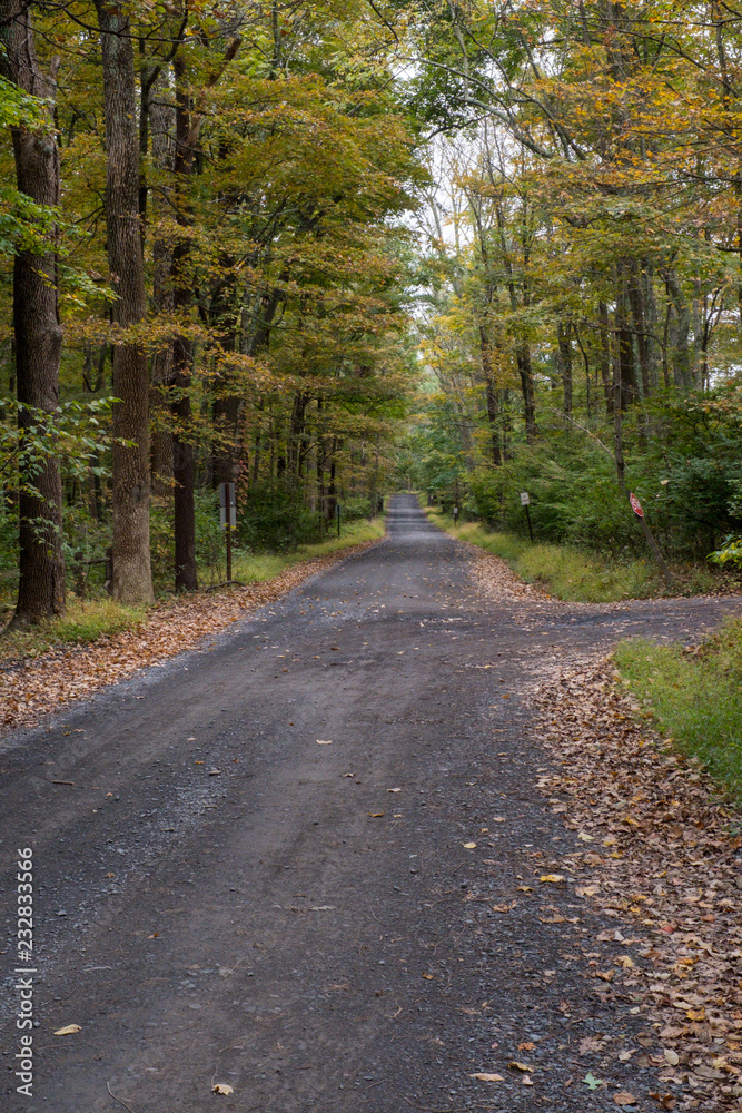 Obraz premium Country Road Turn-off