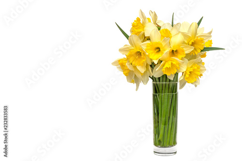 Fototapeta Naklejka Na Ścianę i Meble -  bouquet Yellow narcissus flowers in a glass vase Isolated on white background and space for your text.