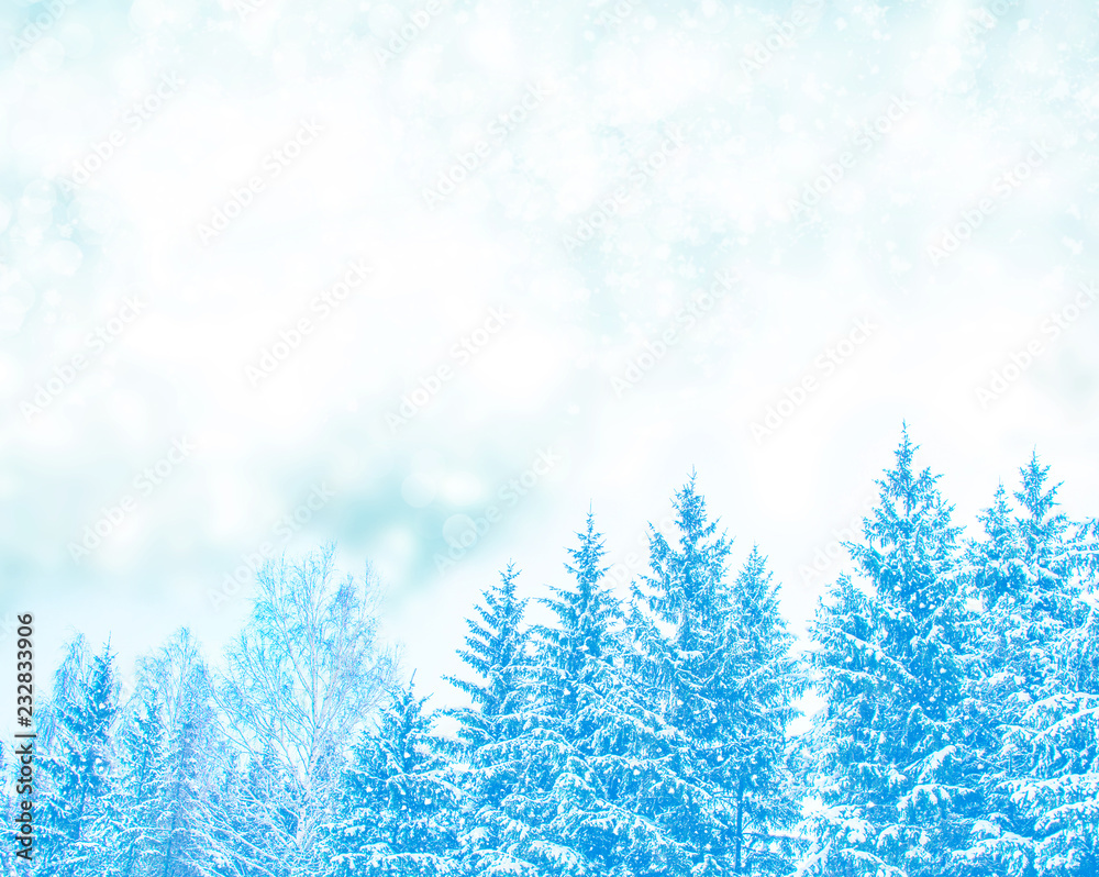 Blurred background. winter forest with snow covered trees. Blurred background. winter forest with snow covered trees.