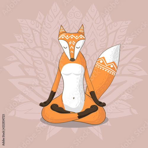 Cute fox meditates