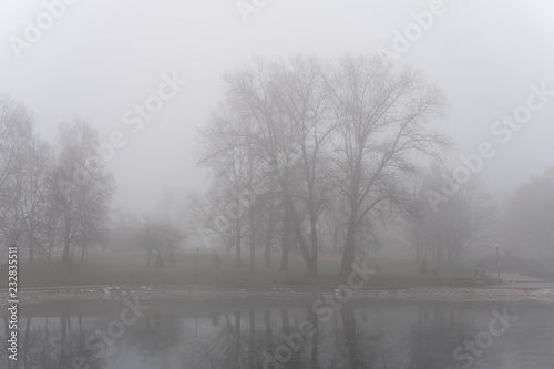 Trees in fog reflecting in lake