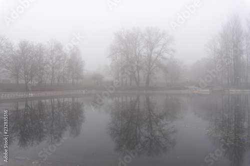 Trees in fog reflecting in lake