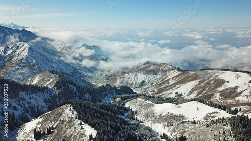 Above the clouds in the snowy mountains. Growing green spruce. Ate covered with snow. Clouds below us. Shooting with the drone. Blue skies. The snowy tops of the peaks. Great cloud. Mountain gorge.