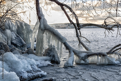 icy branches on the lake shore