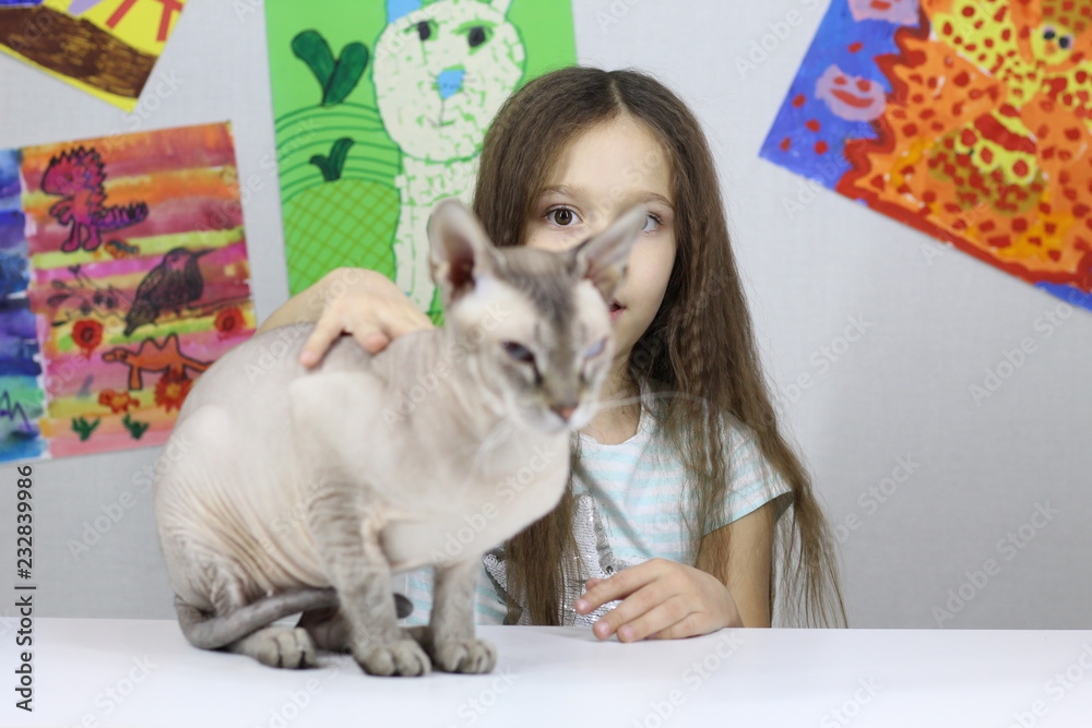 little girl playing with cat, baby and Sphinx little girl playing with cat, baby and Sphinx