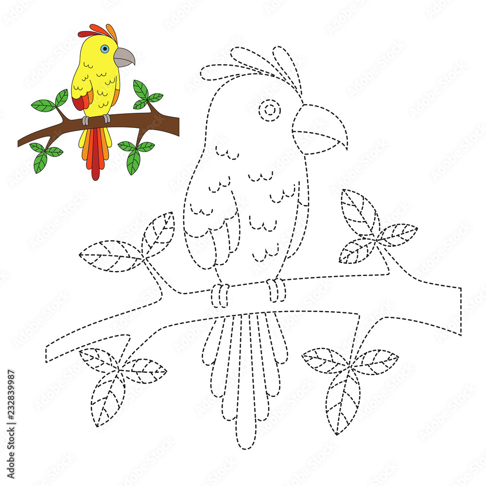 Rosella Parrot Australia - How to draw a parrot — Steemit