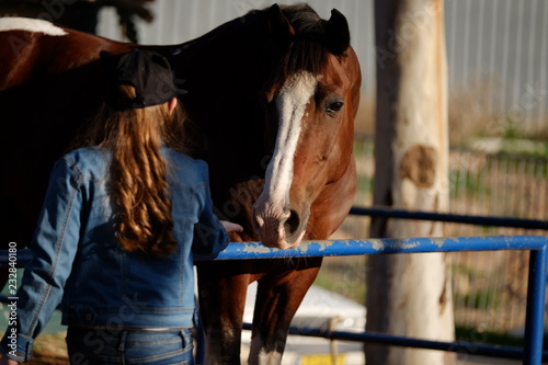 Girl the equestrian feeds a horse © cdrw1973