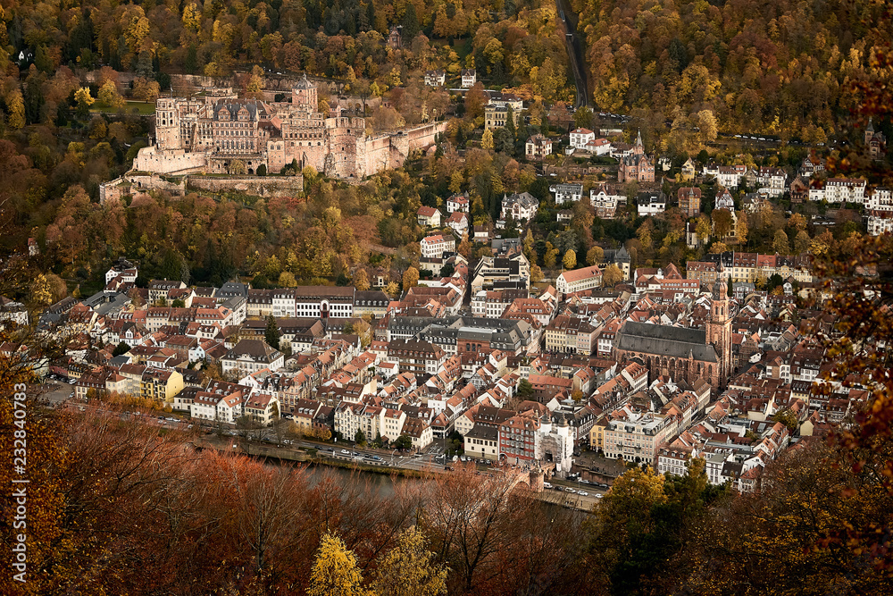 Obraz premium Heidelberg old City and Heidelber Castle from above 1