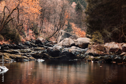 Beautiful calm mountain river with giant rocks on the river banks and autumn color leaves in the forest background. Okertal  Oker gorge  Oker National Park Harz  Harz Mountains  Germany